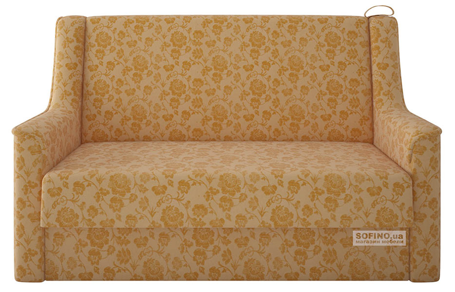 Фото Диван-ліжко прямий Американка №1 - 1,1, Аккордеон 111 x 201 см, 142x100x100 см Розпродажна позиція - SOFINO.UA