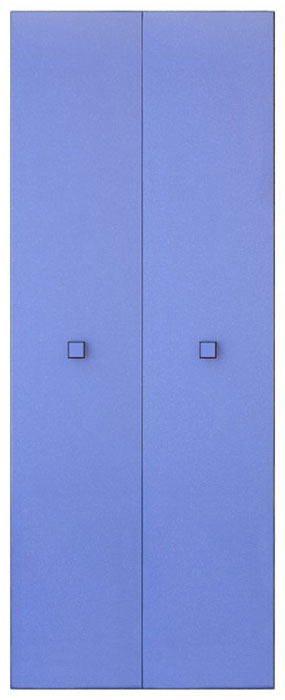 Шкаф 2d «Аватар» | Синий