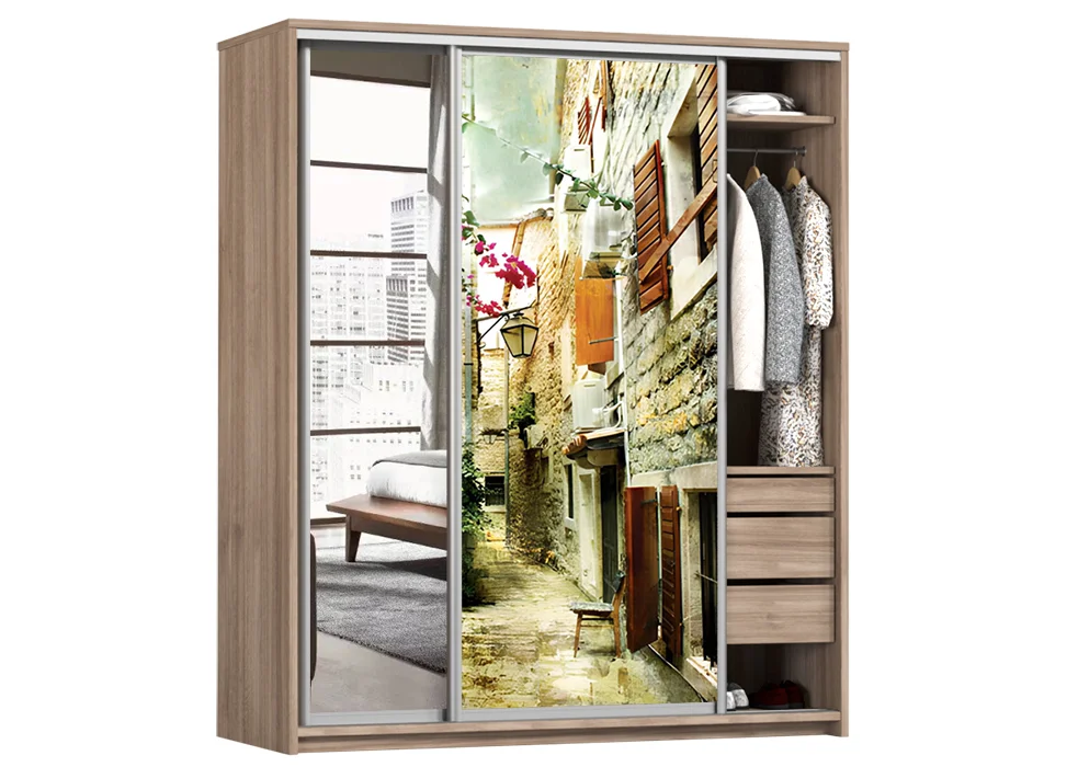 Шкаф-купе раздвижной двухдверный Софино (алюм) с фасадами Зеркало + Фотопечать • 1400x450x2200 см